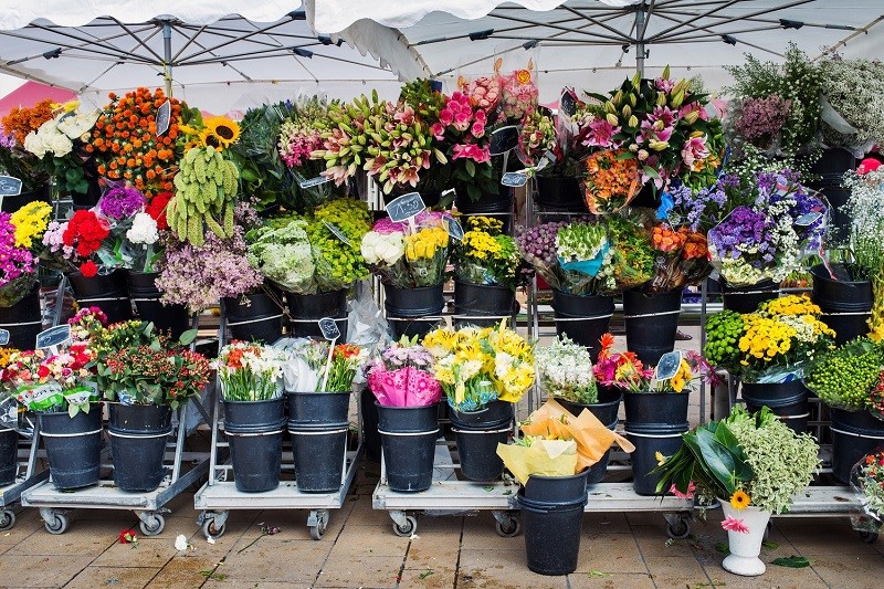 Sản xuất hoa ở Pháp